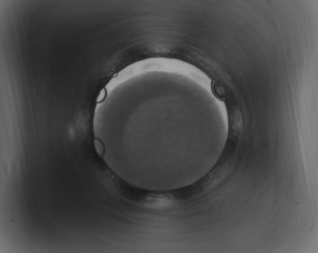 X0000100500559200807111145