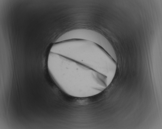 X0000100500560200807111145