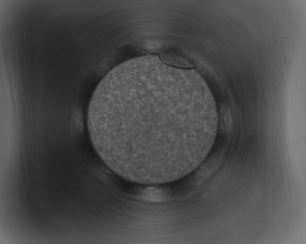 X0000100500562200807111145