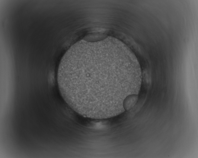 X0000100500564200807111145