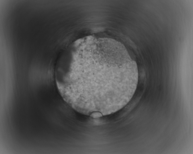 X0000100500565200807111145