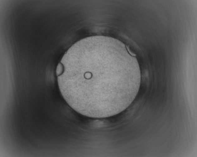 X0000100500566200807111145