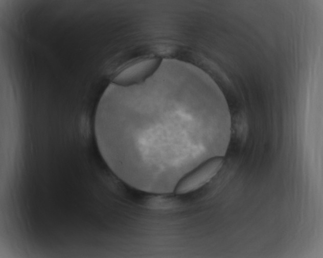 X0000100500568200807111145