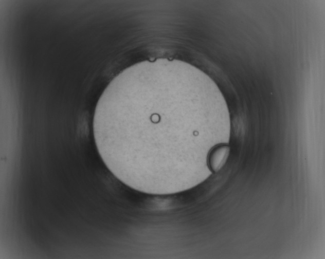 X0000100500570200807111145