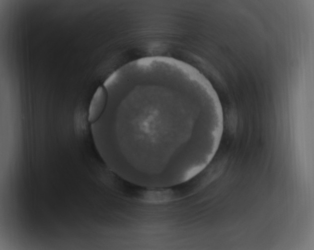 X0000100500571200807111145