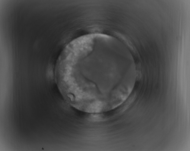 X0000100500573200807111145