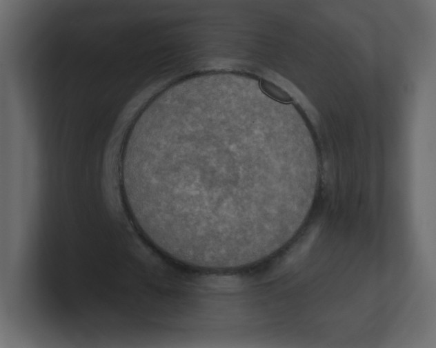 X0000100500577200807111145