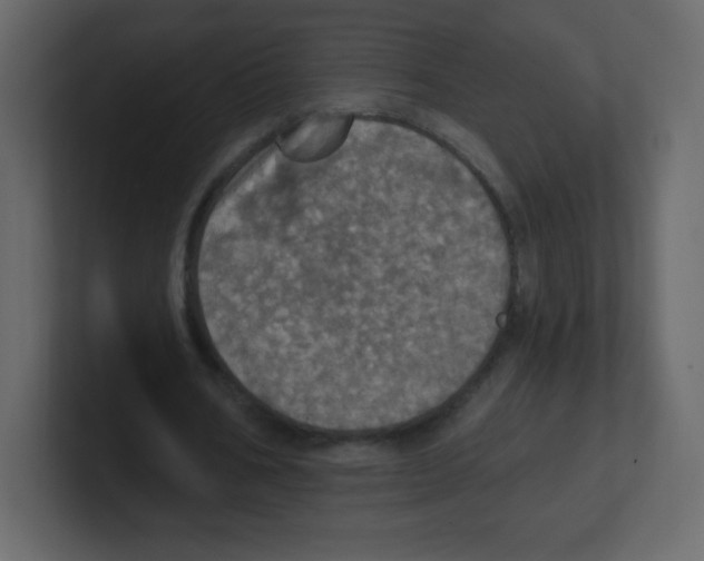 X0000100500578200807111145