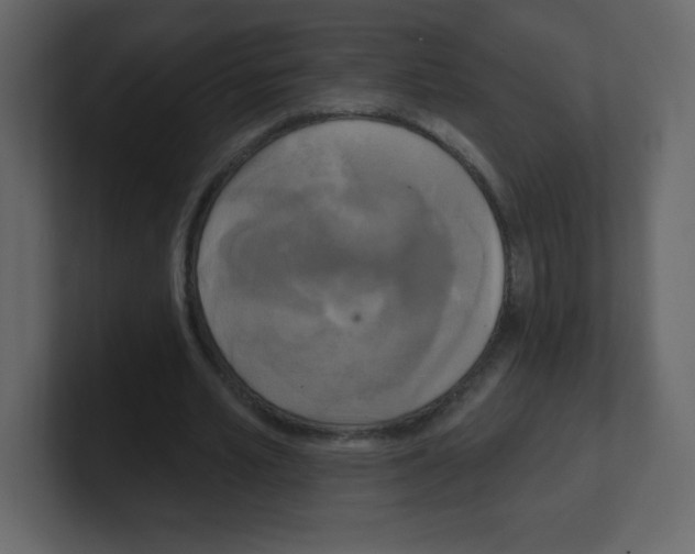 X0000100500581200807111145