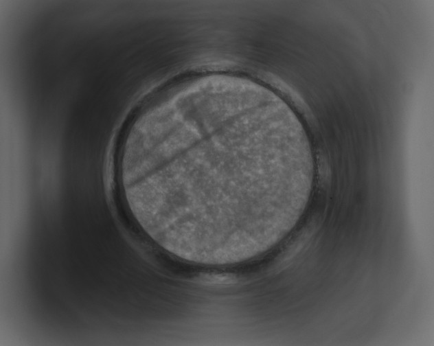 X0000100500582200807111145