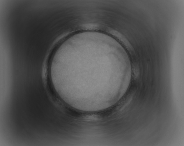 X0000100500583200807111145