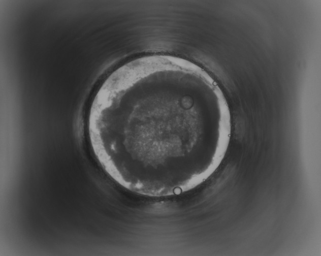 X0000100500584200807111145