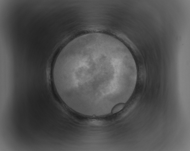 X0000100500585200807111145