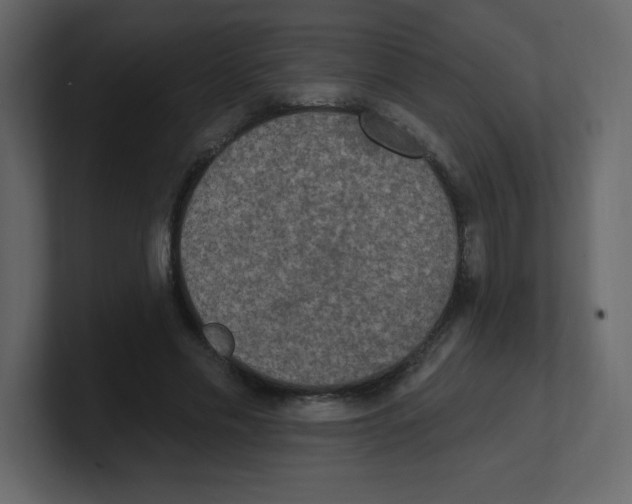 X0000100500589200807111145