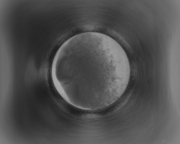 X0000100500590200807111145