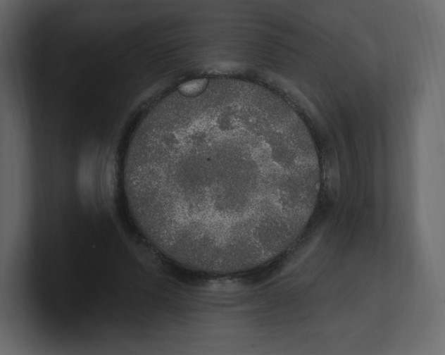 X0000100500591200807111145