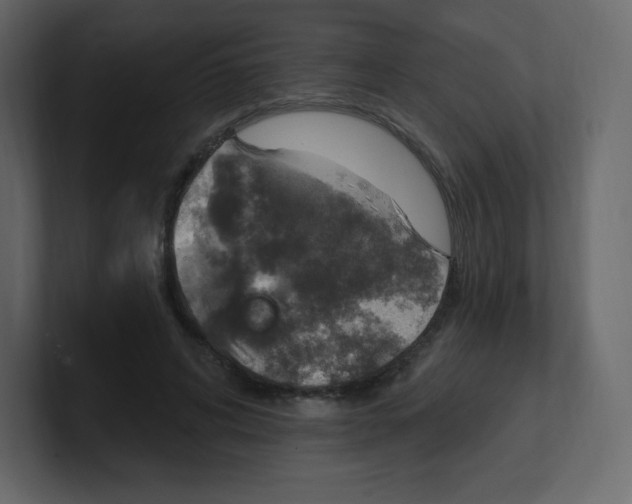 X0000100500592200807111145