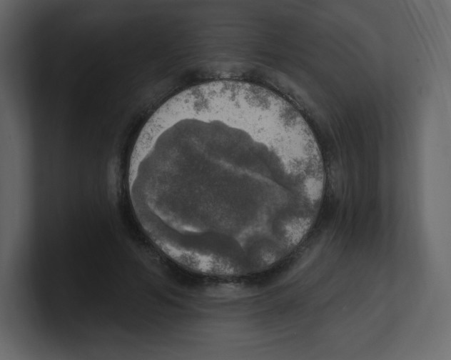 X0000100500594200807111144