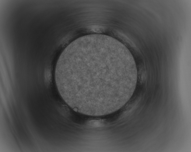 X0000100500595200807111144