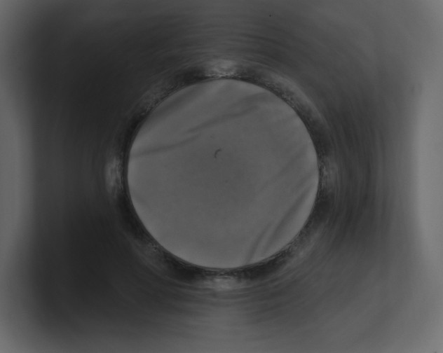 X0000100500598200807111144