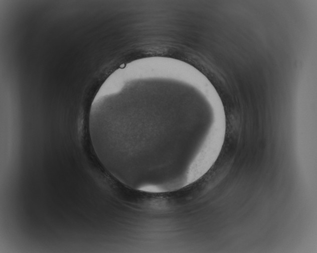 X0000100500600200807111144