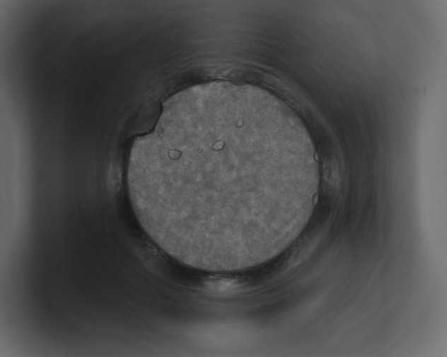 X0000100500602200807111144