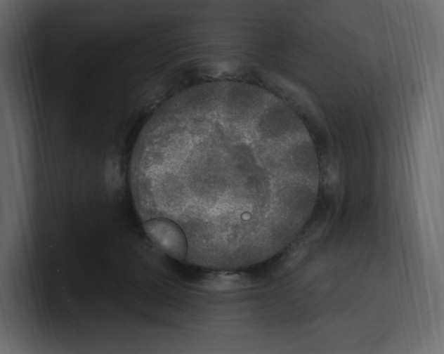 X0000100500607200807111144