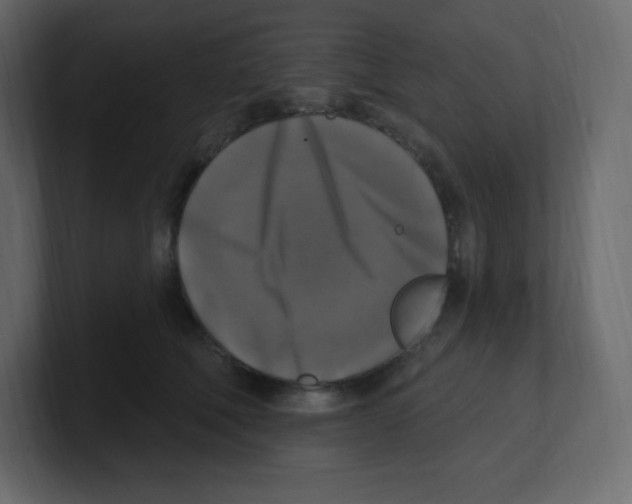 X0000100500610200807111144