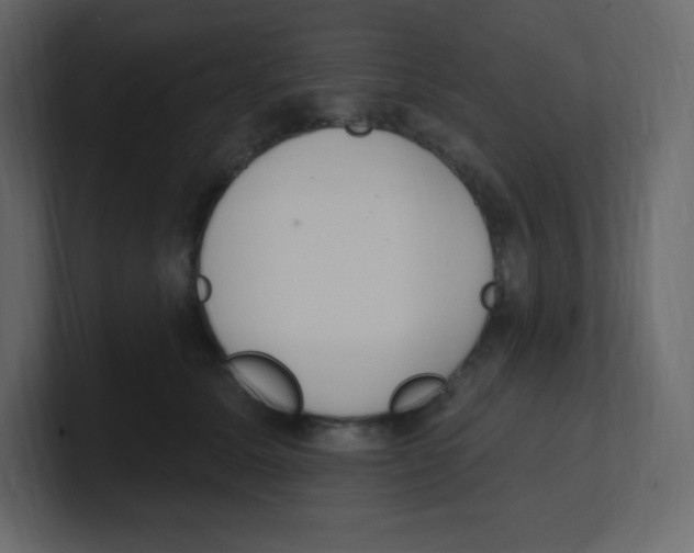 X0000100500611200807111144