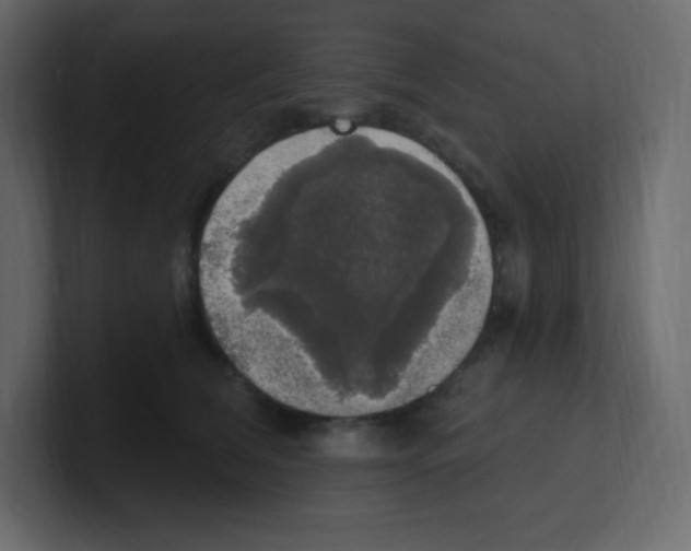 X0000100500612200807111144