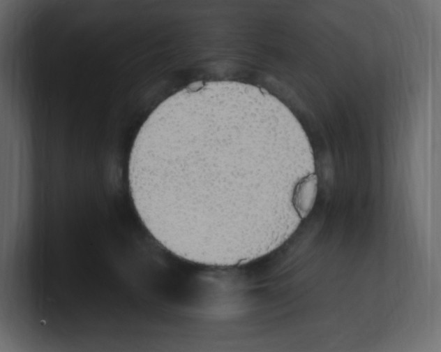 X0000100500615200807111144