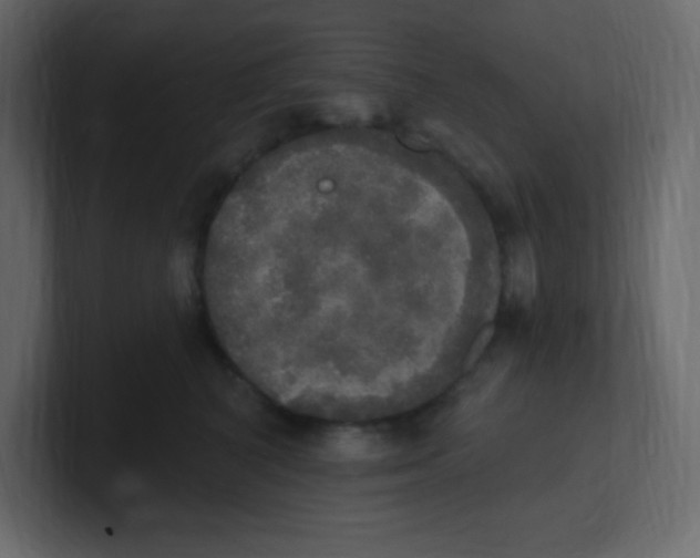 X0000100500616200807111144