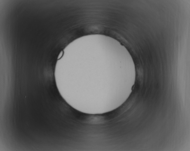 X0000100500617200807111144