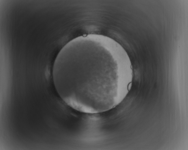 X0000100500618200807111144