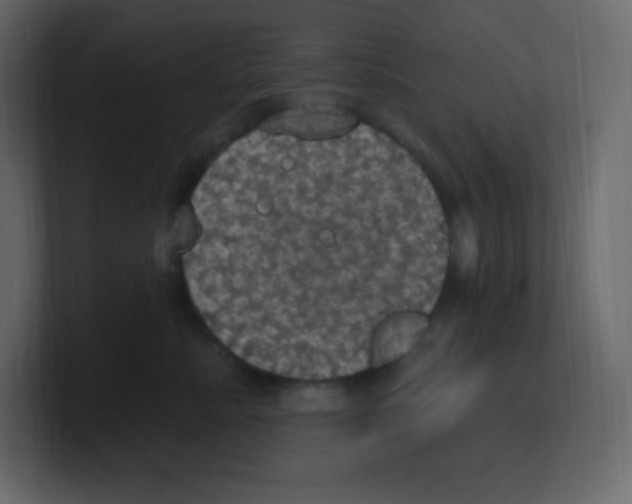 X0000100500619200807111144