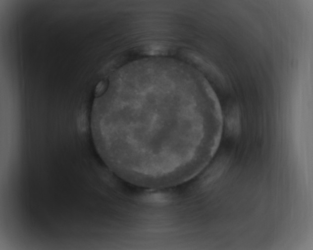 X0000100500620200807111144