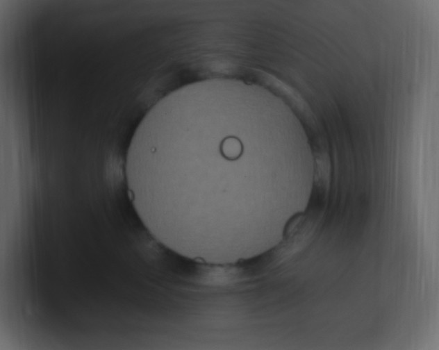 X0000100500621200807111144