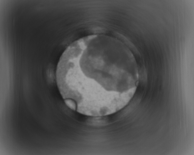 X0000100500622200807111144