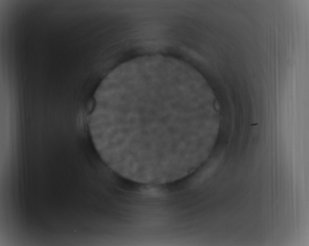 X0000100500624200807111144