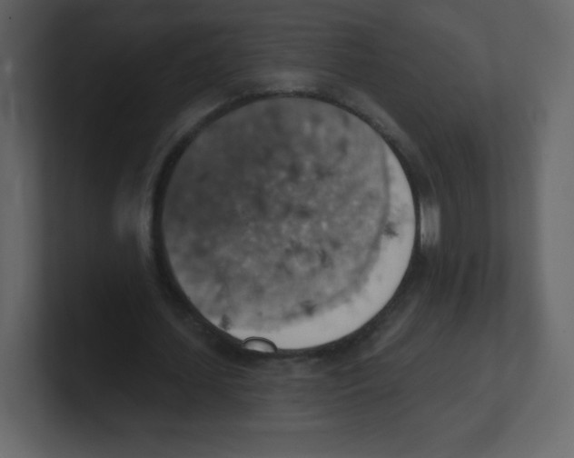 X0000100500627200807111143