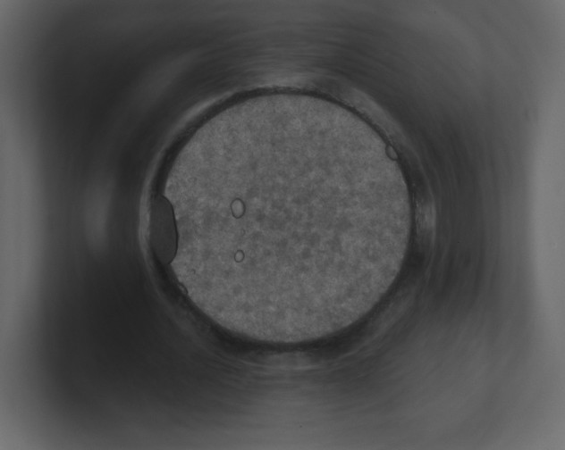 X0000100500628200807111144