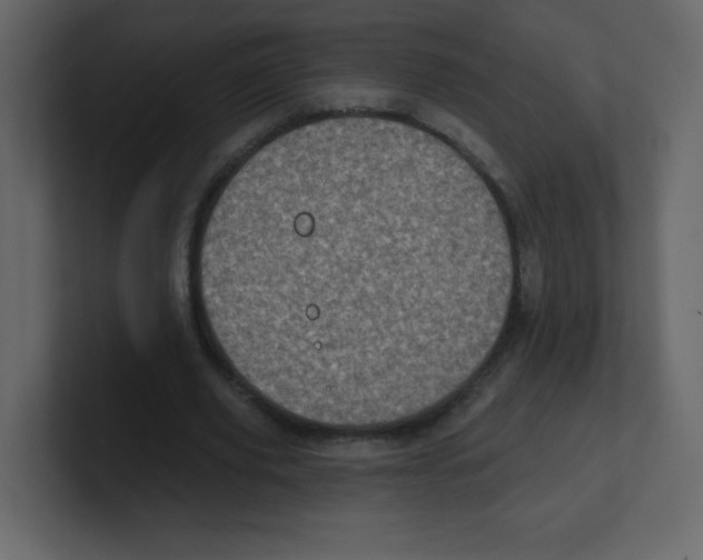 X0000100500629200807111144