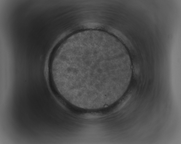 X0000100500630200807111144