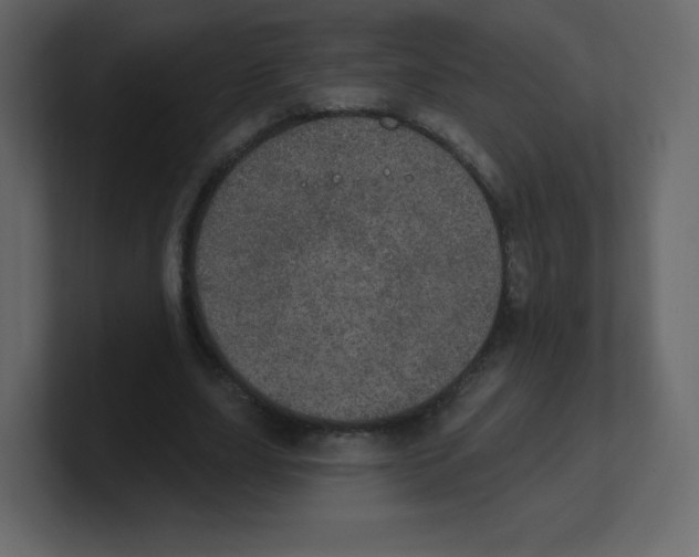 X0000100500631200807111144