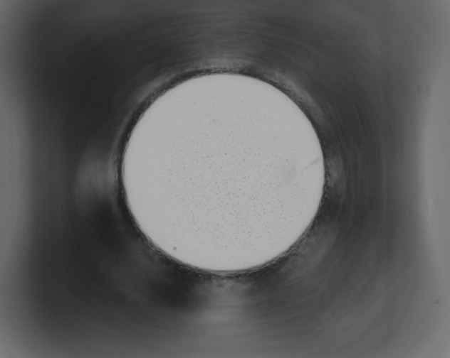 X0000100500632200807111144