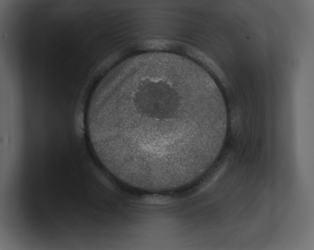 X0000100500633200807111144