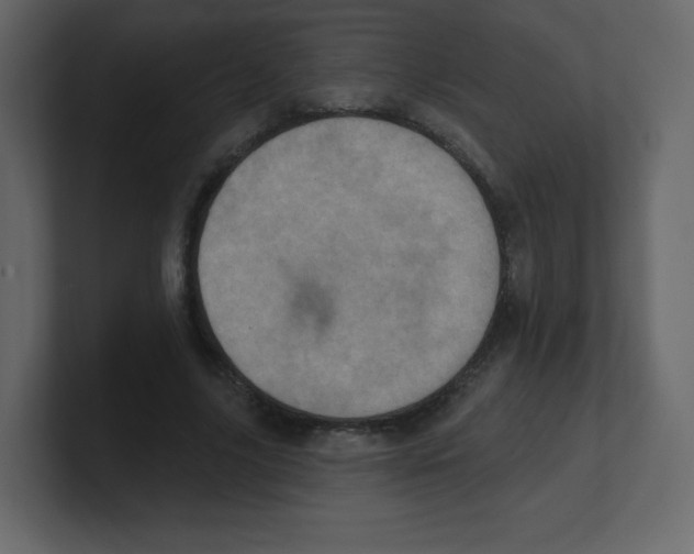 X0000100500635200807111144