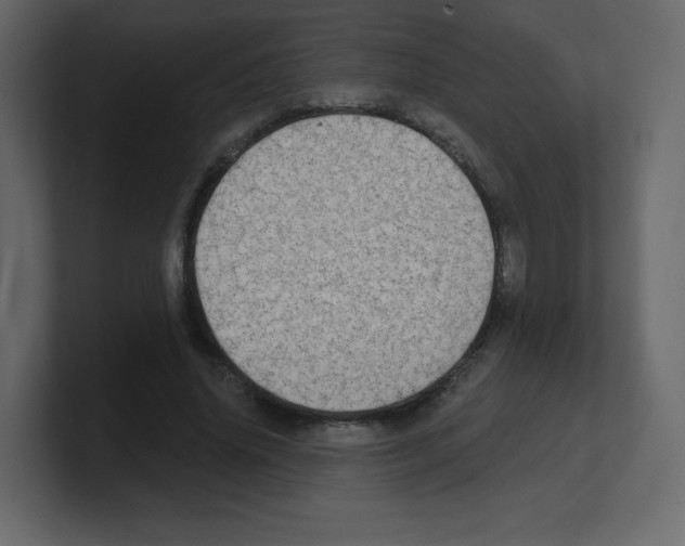 X0000100500636200807111144