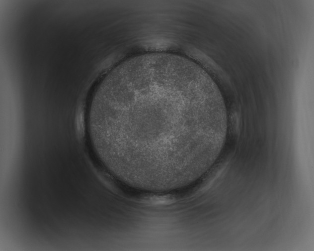 X0000100500638200807111144