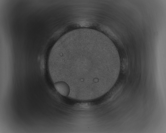 X0000100500639200807111144